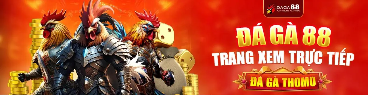 Sân đá gà trực tuyến tại au888 win