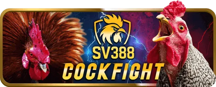 Khuyến Mãi Hàng Ngày/Tuần au888 win